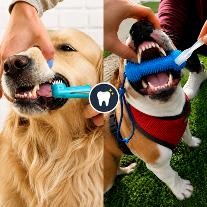 Waggle Bite™ | Teeth Cleaning Dog Toy
