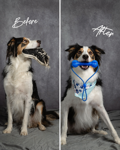 Dual-Action Canine Dental Prop Reusable Dental Chews For Dogs Interactive Dog Dental Chew Toy For Teeth Cleaning Brushing