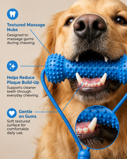 Dual-Action Canine Dental Prop Reusable Dental Chews For Dogs Interactive Dog Dental Chew Toy For Teeth Cleaning Brushing