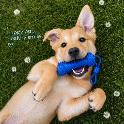 Waggle Bite™ | Teeth Cleaning Dog Toy