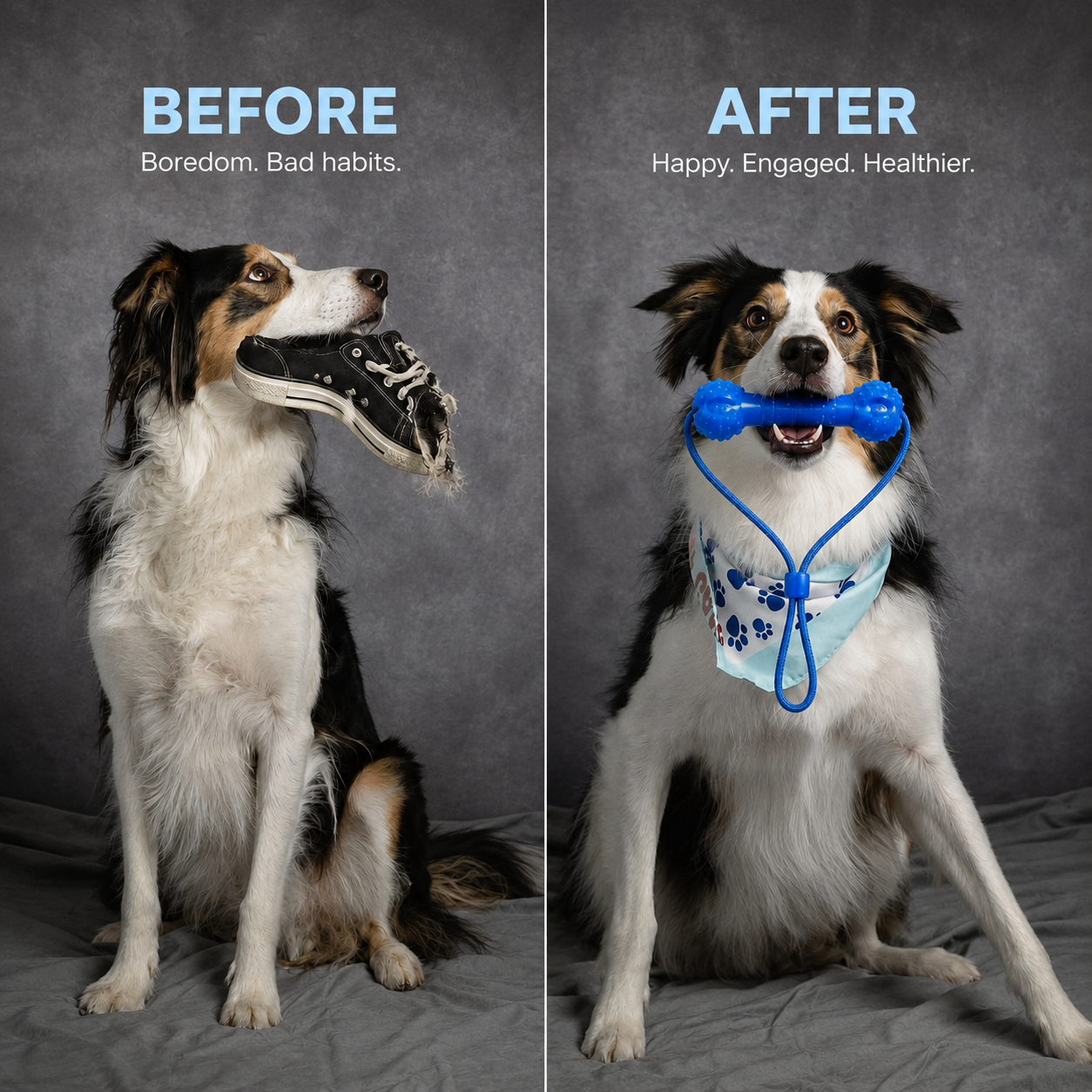 Waggle Bite™ | Teeth Cleaning Dog Toy